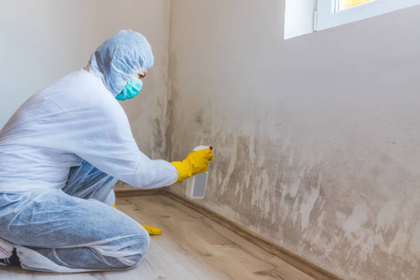 Licensed Mold Remediation service in Oregon, OR - 24 Hour Mold Removal